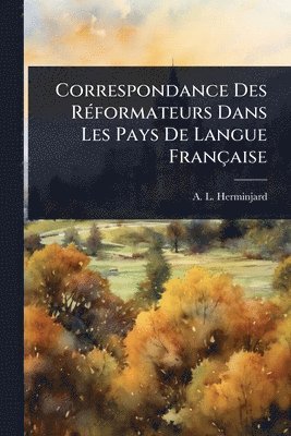 bokomslag Correspondance Des RÃ(c)formateurs Dans Les Pays De Langue Française