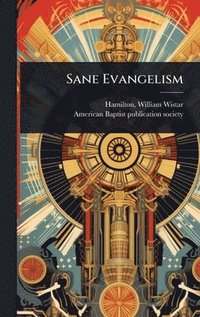 bokomslag Sane Evangelism