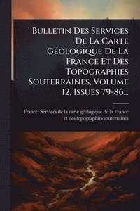 bokomslag Bulletin Des Services De La Carte GÃ(c)ologique De La France Et Des Topographies Souterraines, Volume 12, Issues 79-86...