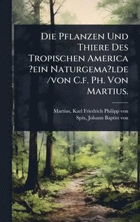 bokomslag Pflanzen Und Thiere Des Tropischen America ?ein Naturgema?lde /von C.f. Ph. Von Martius.