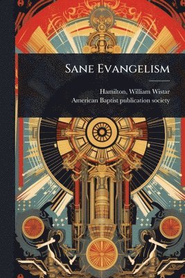 bokomslag Sane Evangelism