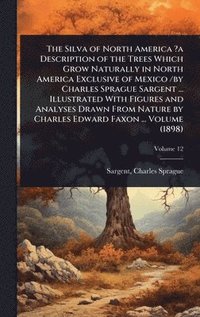 bokomslag Silva of North America ?a Description of the Trees Which Grow Naturally in North America Exclusive of Mexico /by Charles Sprague Sargent ... Illustrated With Figures and Analyses Drawn From Nature ...