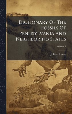 J Peter Lesley - Dictionary Of The Fossils Of Pennsylvania And Neighboring States, Inbunden