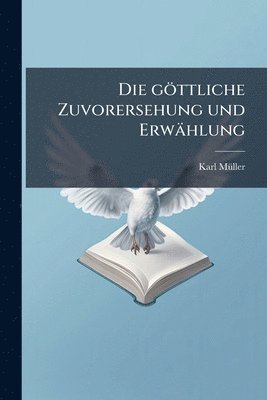 bokomslag göttliche Zuvorersehung und Erwählung