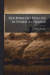 bokomslag Der Born Des Heils Ist In Steben Zu Finden!