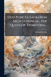 bokomslag Duo Puncta Sacrarum Meditationum... Per Quatuor Trimestria...