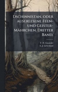 bokomslag Dschinnistan, oder auserlesene Feen- und Geister-Mährchen. Dritter Band.