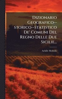 bokomslag Dizionario Geografico--storico--statistico De' Comuni Del Regno Delle Due Sicilie...