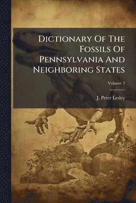 J Peter Lesley - Dictionary Of The Fossils Of Pennsylvania And Neighboring States, Häftad