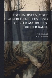 bokomslag Dschinnistan, oder auserlesene Feen- und Geister-Mährchen. Dritter Band.