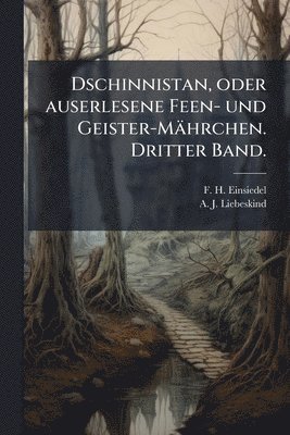 bokomslag Dschinnistan, oder auserlesene Feen- und Geister-Mährchen. Dritter Band.