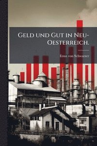 bokomslag Geld und Gut in Neu-Oesterreich.