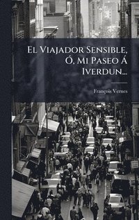 bokomslag Viajador Sensible, Ã", Mi Paseo Ã Iverdun...