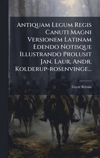 bokomslag Antiquam Legum Regis Canuti Magni Versionem Latinam Edendo Notisque Illustrando Prolusit Jan. Laur. Andr. Kolderup-rosenvinge...