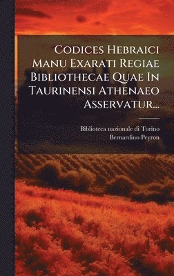 bokomslag Codices Hebraici Manu Exarati Regiae Bibliothecae Quae In Taurinensi Athenaeo Asservatur...