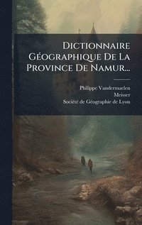 bokomslag Dictionnaire GÃ(c)ographique De La Province De Namur...