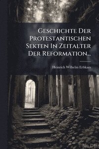 bokomslag Geschichte Der Protestantischen Sekten In Zeitalter Der Reformation...