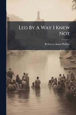 bokomslag Led By A Way I Knew Not