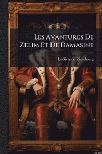 bokomslag Les Avantures De Zelim Et De Damasine