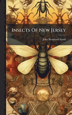 bokomslag Insects Of New Jersey