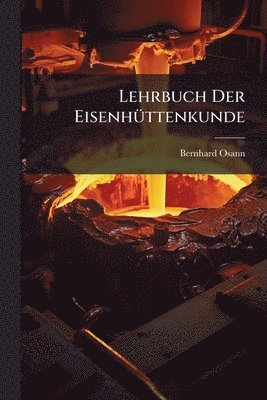 Lehrbuch Der EisenhÃ1/4ttenkunde