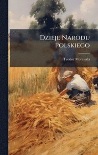 bokomslag Dzieje Narodu Polskiego