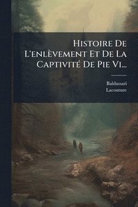 bokomslag Histoire De L'enlèvement Et De La CaptivitÃ(c) De Pie Vi...