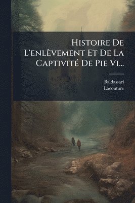 bokomslag Histoire De L'enlèvement Et De La CaptivitÃ(c) De Pie Vi...