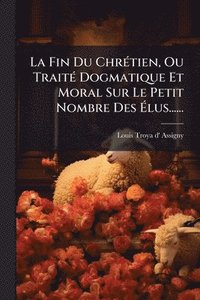 bokomslag Fin Du ChrÃ(c)tien, Ou TraitÃ(c) Dogmatique Et Moral Sur Le Petit Nombre Des Ã¿lus......