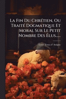 bokomslag Fin Du ChrÃ(c)tien, Ou TraitÃ(c) Dogmatique Et Moral Sur Le Petit Nombre Des Ã¿lus......