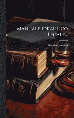 bokomslag Manuale Idraulico Legale...