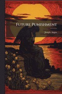 bokomslag Future Punishment
