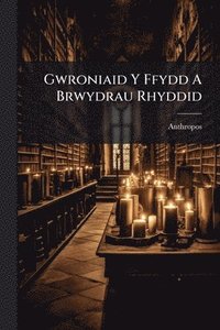 bokomslag Gwroniaid Y Ffydd A Brwydrau Rhyddid
