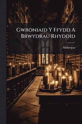 bokomslag Gwroniaid Y Ffydd A Brwydrau Rhyddid