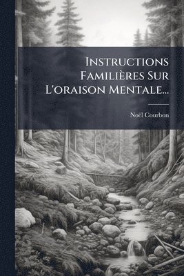 bokomslag Instructions Familières Sur L'oraison Mentale...