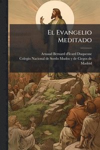 bokomslag Evangelio Meditado