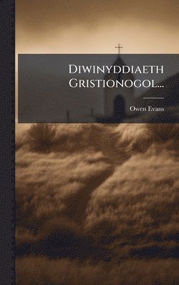 bokomslag Diwinyddiaeth Gristionogol...