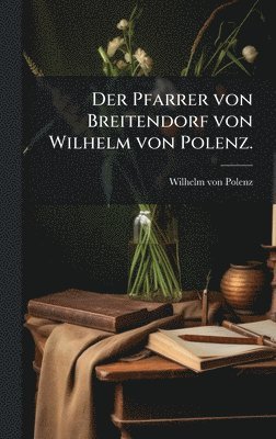 bokomslag Pfarrer von Breitendorf von Wilhelm von Polenz.