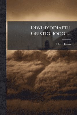 bokomslag Diwinyddiaeth Gristionogol...