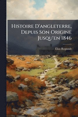 bokomslag Histoire D'angleterre, Depuis Son Origine Jusqu'en 1846