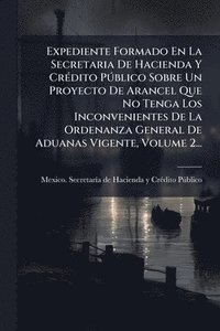 bokomslag Expediente Formado En La Secretaria De Hacienda Y CrÃ(c)dito PÃ°blico Sobre Un Proyecto De Arancel Que No Tenga Los Inconvenientes De La Ordenanza Gen