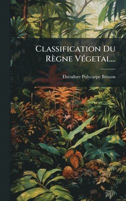 bokomslag Classification Du Règne VÃ(c)getal...