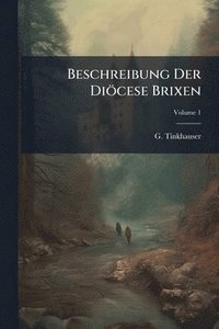 bokomslag Beschreibung Der Diöcese Brixen