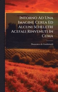 bokomslag Intorno Ad Una Imagine Cerea Ed Alcuni Scheletri Acefali Rinvenuti In Cuma