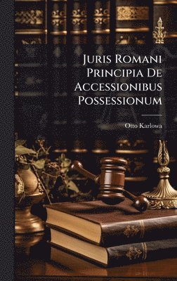 bokomslag Juris Romani Principia De Accessionibus Possessionum