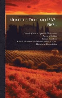 bokomslag Nuntius Delfino 1562-1563...