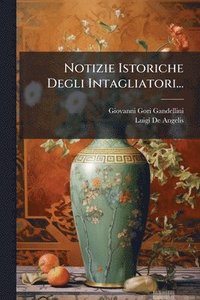 bokomslag Notizie Istoriche Degli Intagliatori...