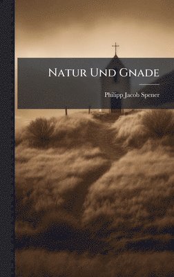 bokomslag Natur Und Gnade