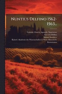 bokomslag Nuntius Delfino 1562-1563...