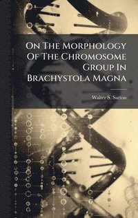 bokomslag On The Morphology Of The Chromosome Group In Brachystola Magna